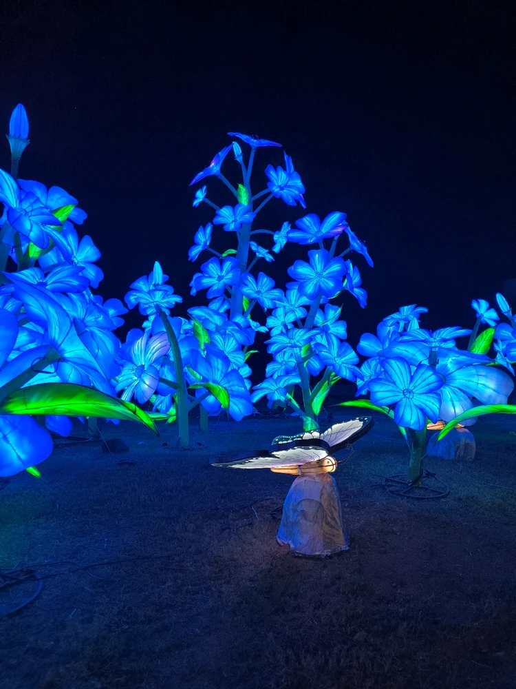 Image uploaded by Desiree