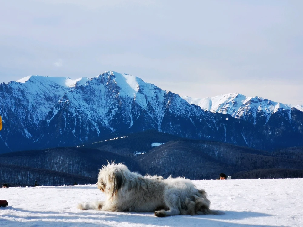 GIF uploaded by Razvan