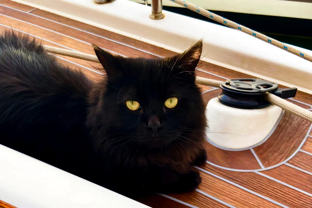 Immagine caricata da Emanuele