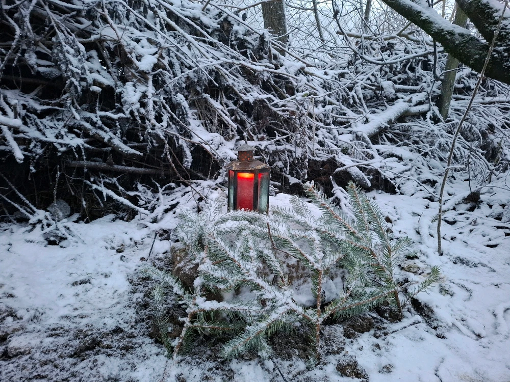 Bild hochgeladen von Svenja ☀️