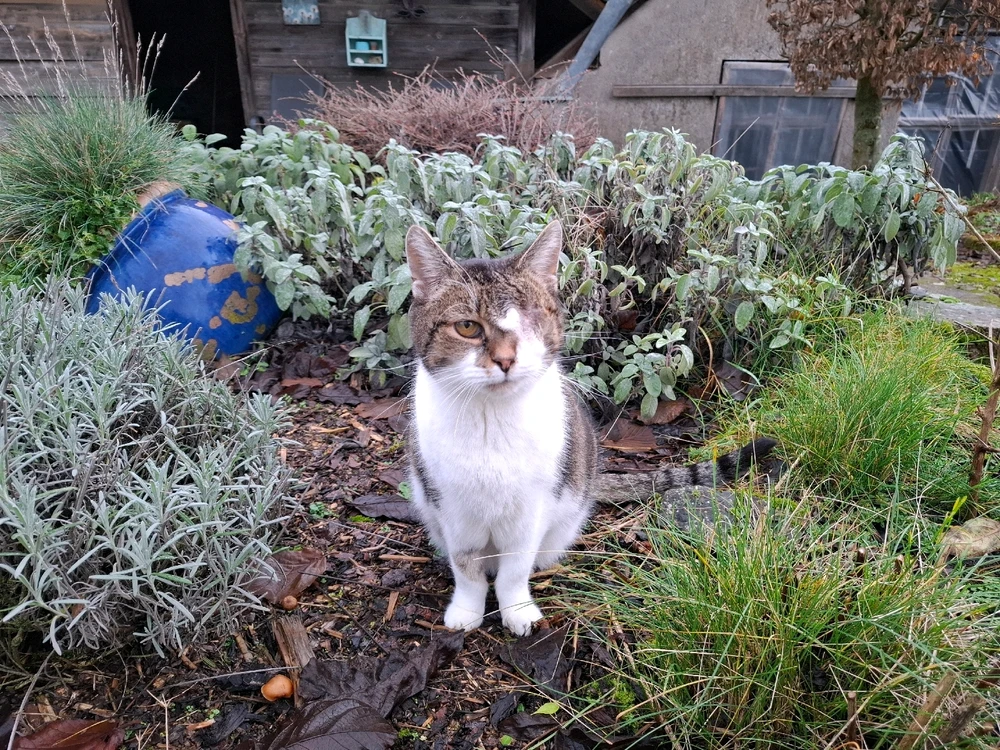 Bild hochgeladen von Svenja ☀️