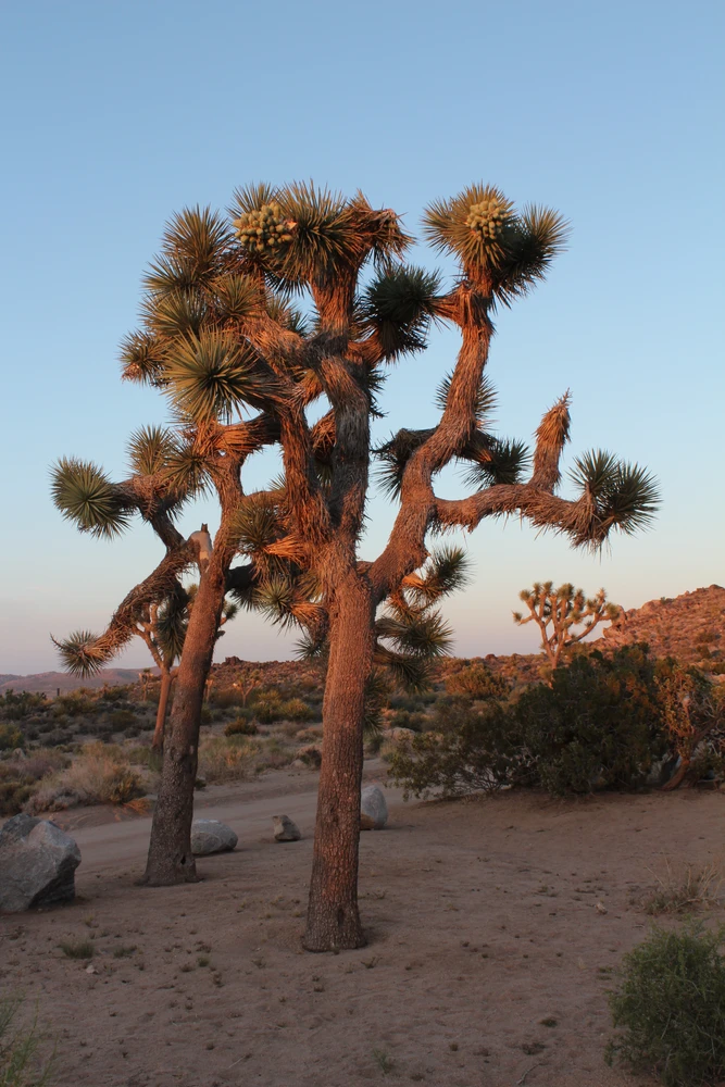 Image uploaded by Rick