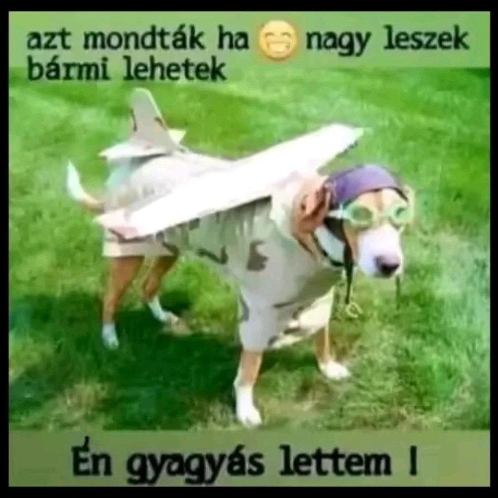 vanazúgy által feltöltött GIF