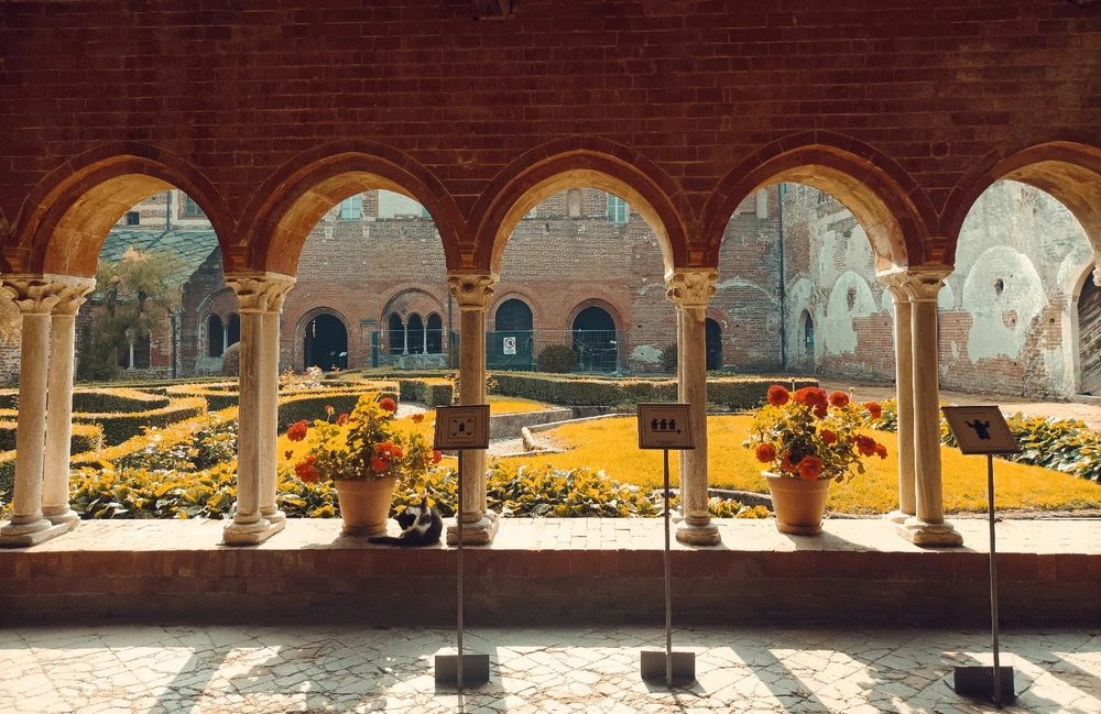 Immagine caricata da Giulio