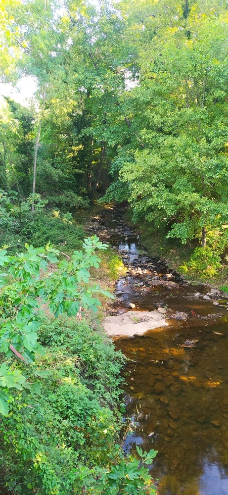 Immagine caricata da Nanaki