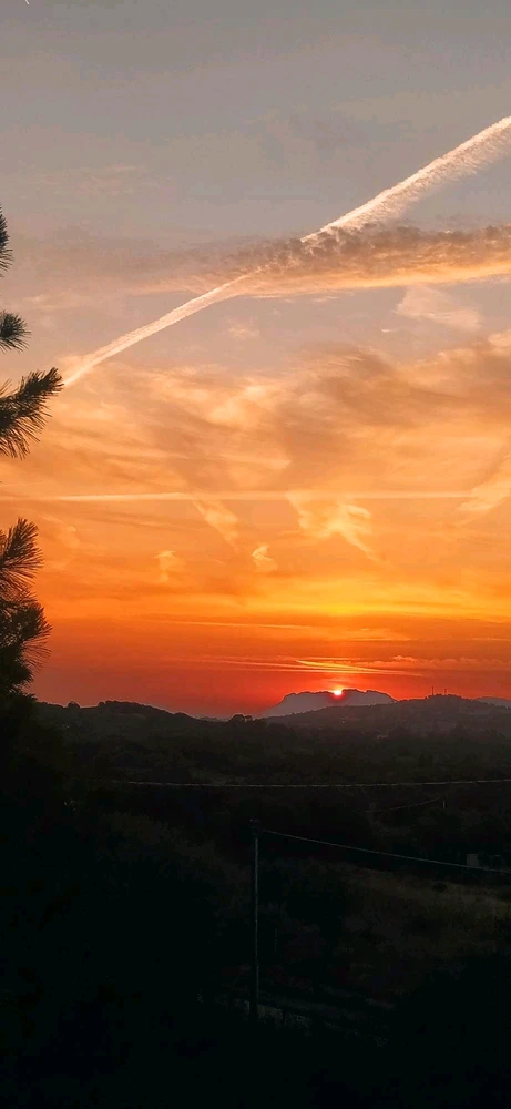 Immagine caricata da Nanaki