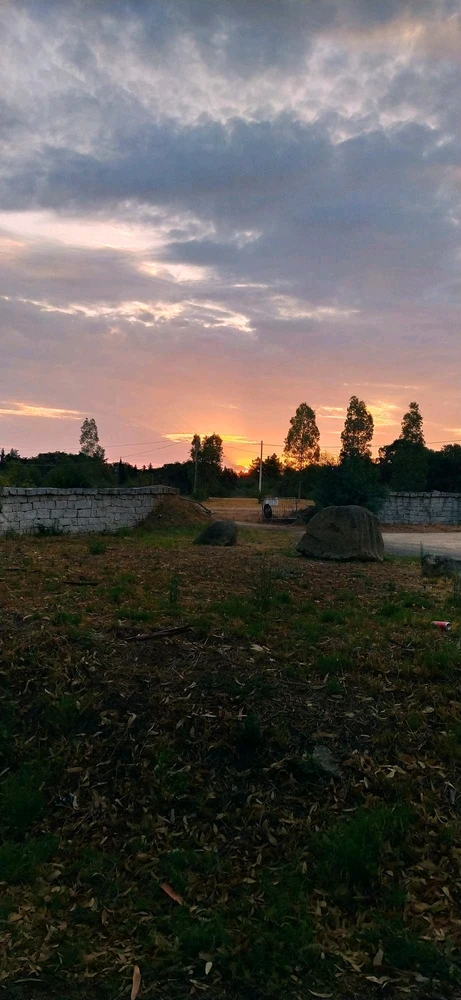 Immagine caricata da Nanaki