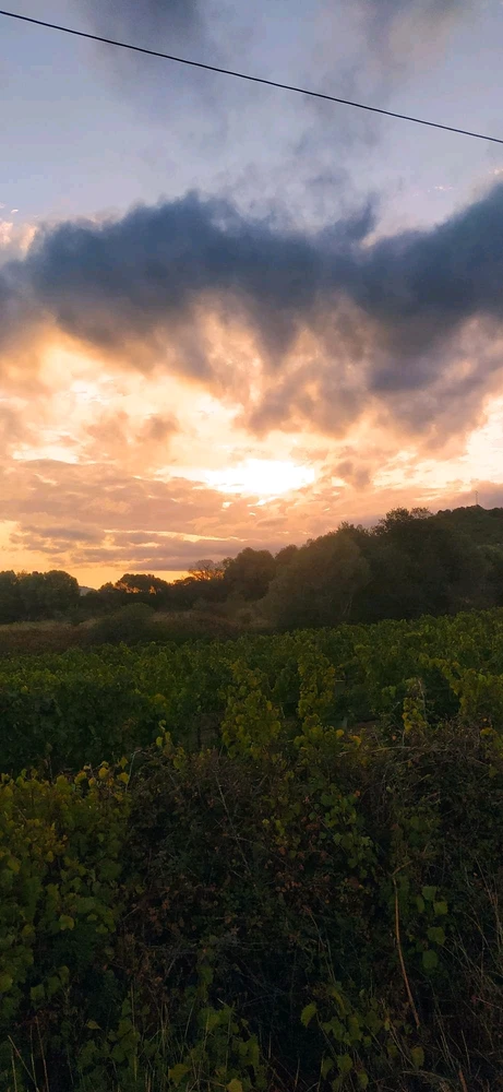 Immagine caricata da Nanaki