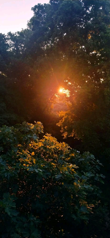 Immagine caricata da Nanaki