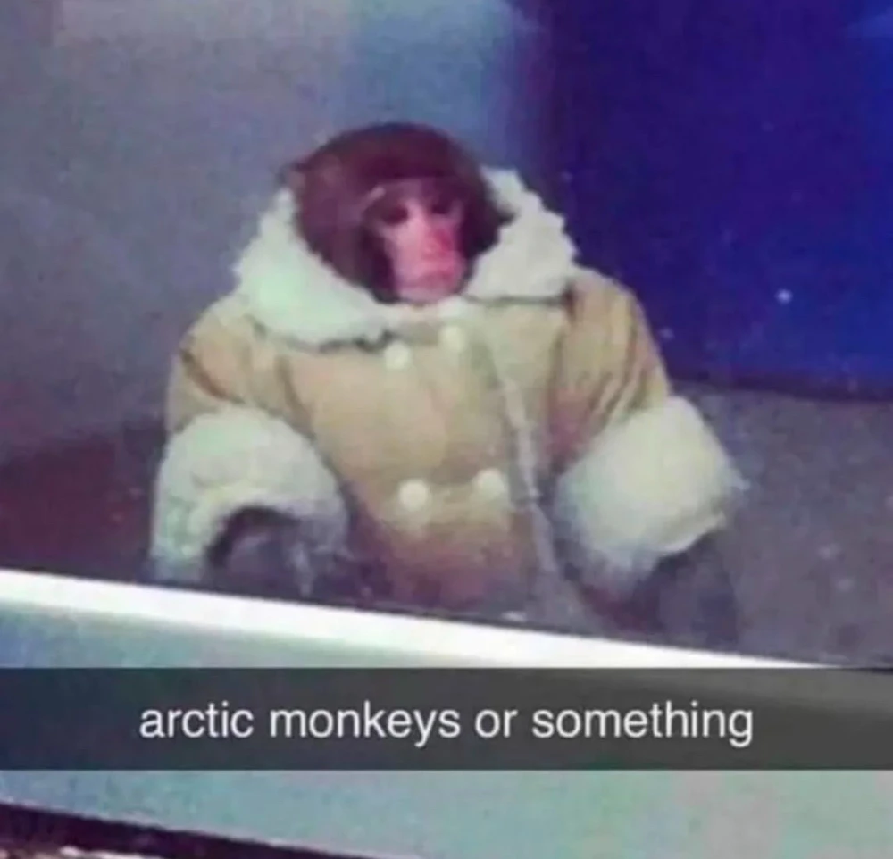 Obrázek nahrál Irónia