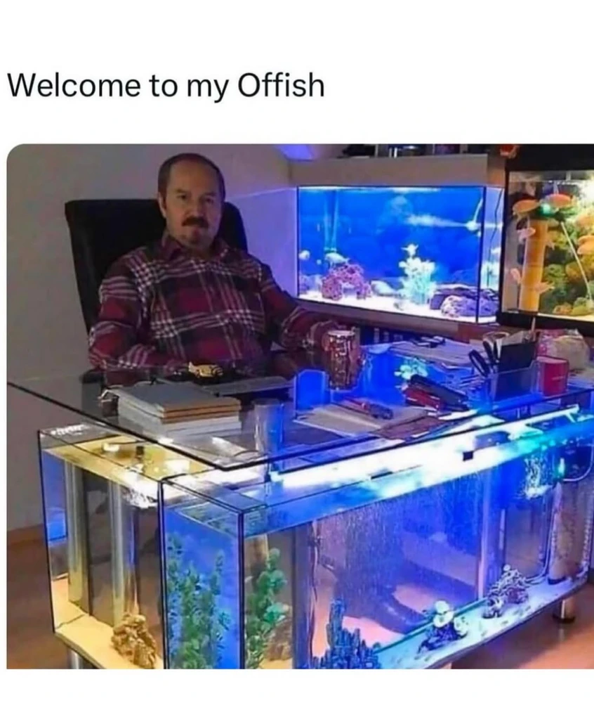 Obrázek nahrál Irónia