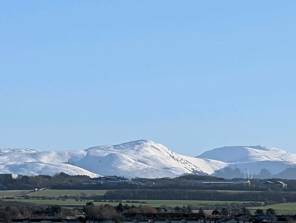 Image uploaded by Stacey