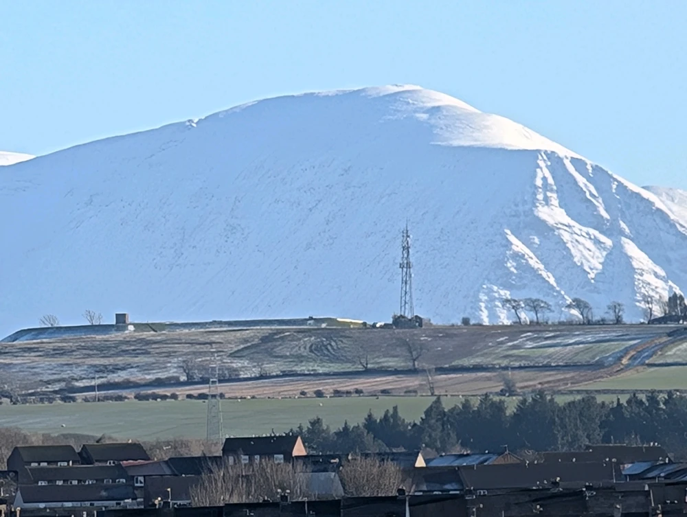 Image uploaded by Stacey