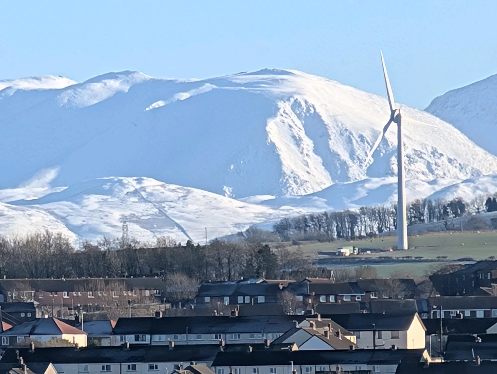 Image uploaded by Stacey