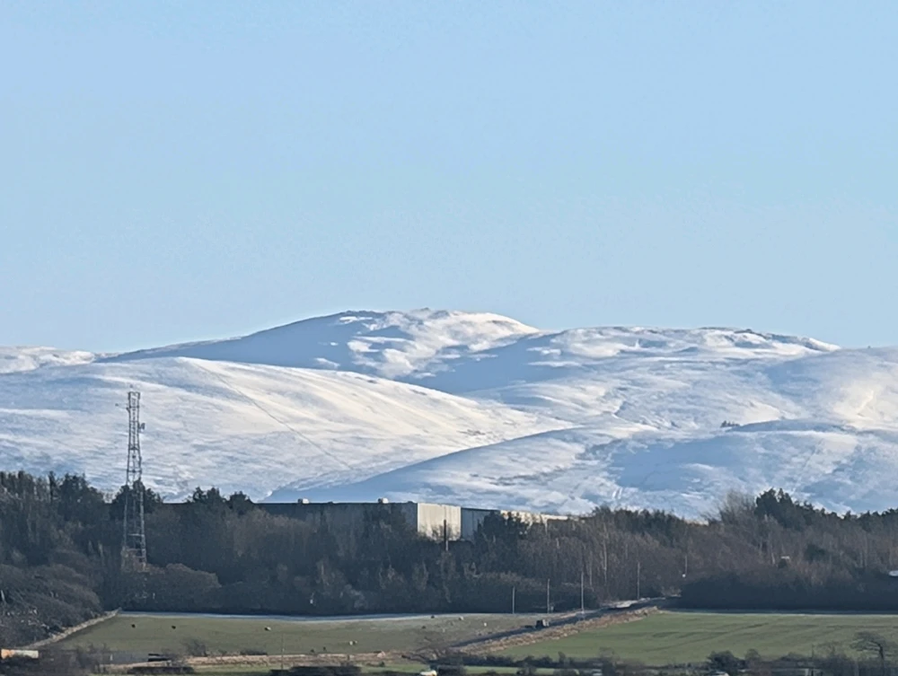 Image uploaded by Stacey