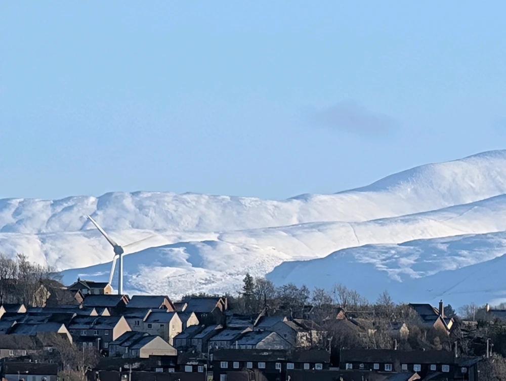 Image uploaded by Stacey