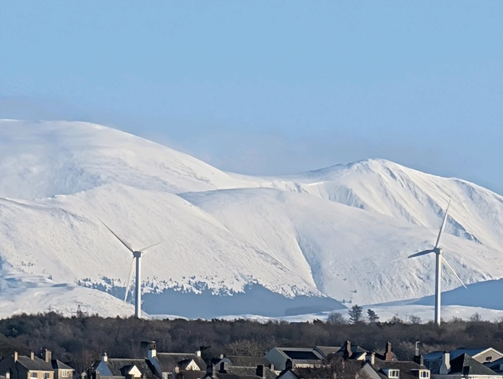 Image uploaded by Stacey