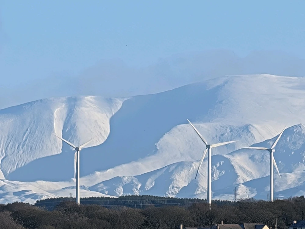 Image uploaded by Stacey