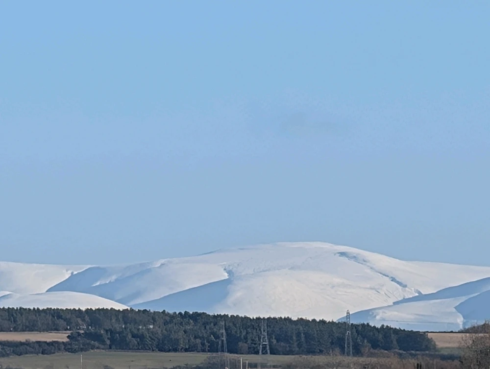 Image uploaded by Stacey