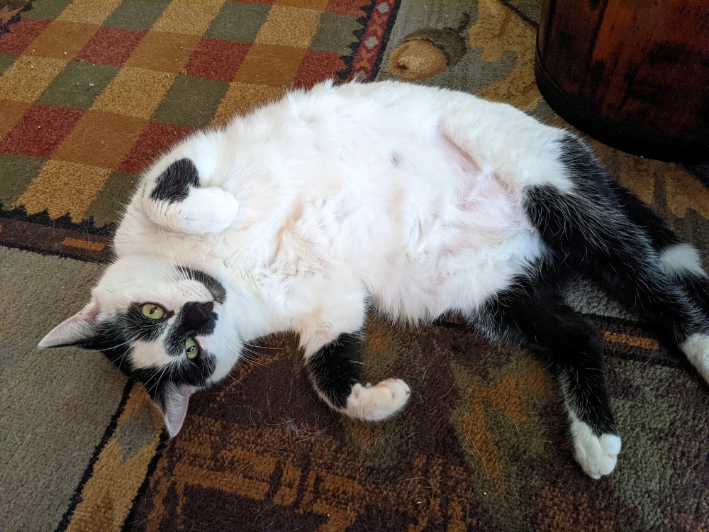 Image uploaded by Wayne Carr Jr.