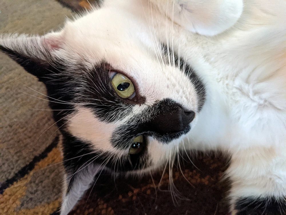 Image uploaded by Wayne Carr Jr.