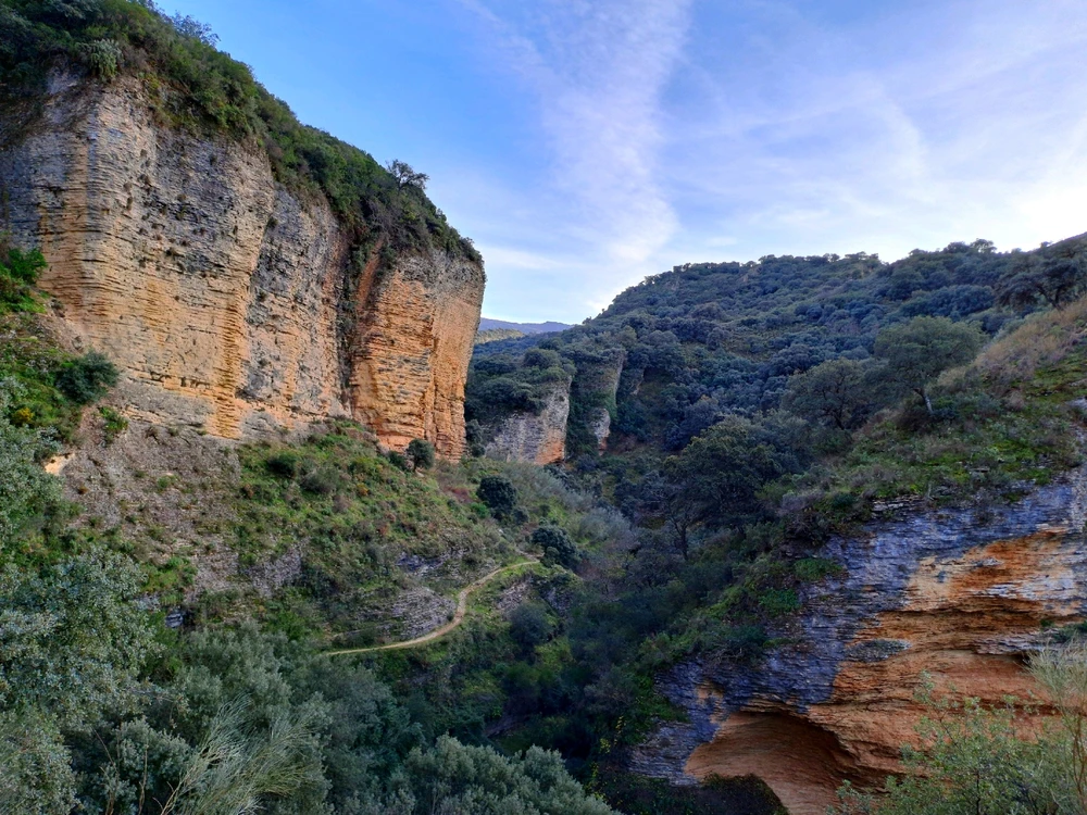 GIF subido por Café