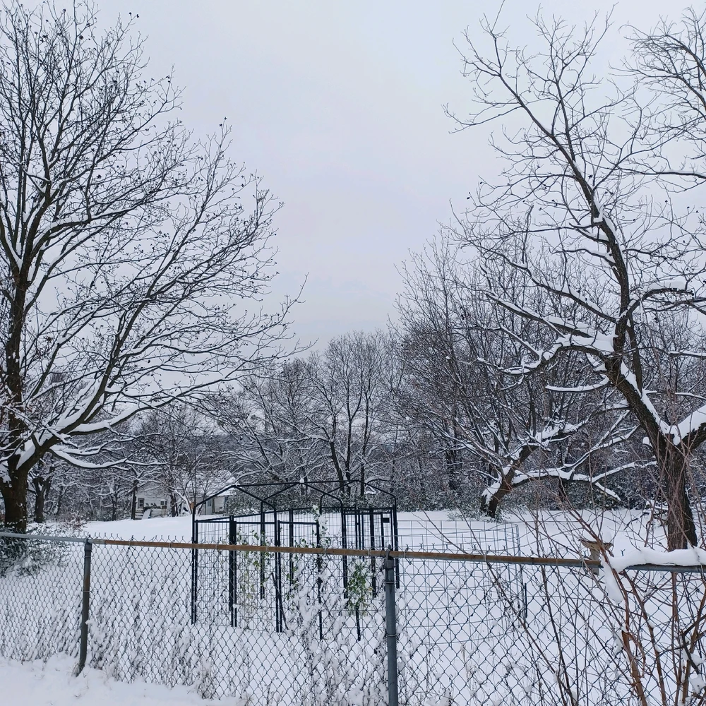 Image uploaded by Tammera aka TRawr