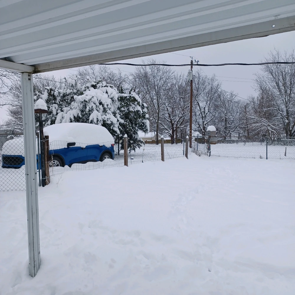 Image uploaded by Tammera aka TRawr