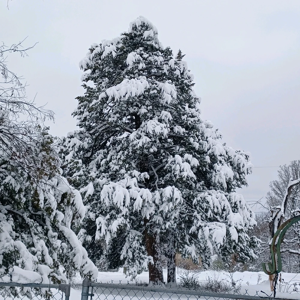 Image uploaded by Tammera aka TRawr