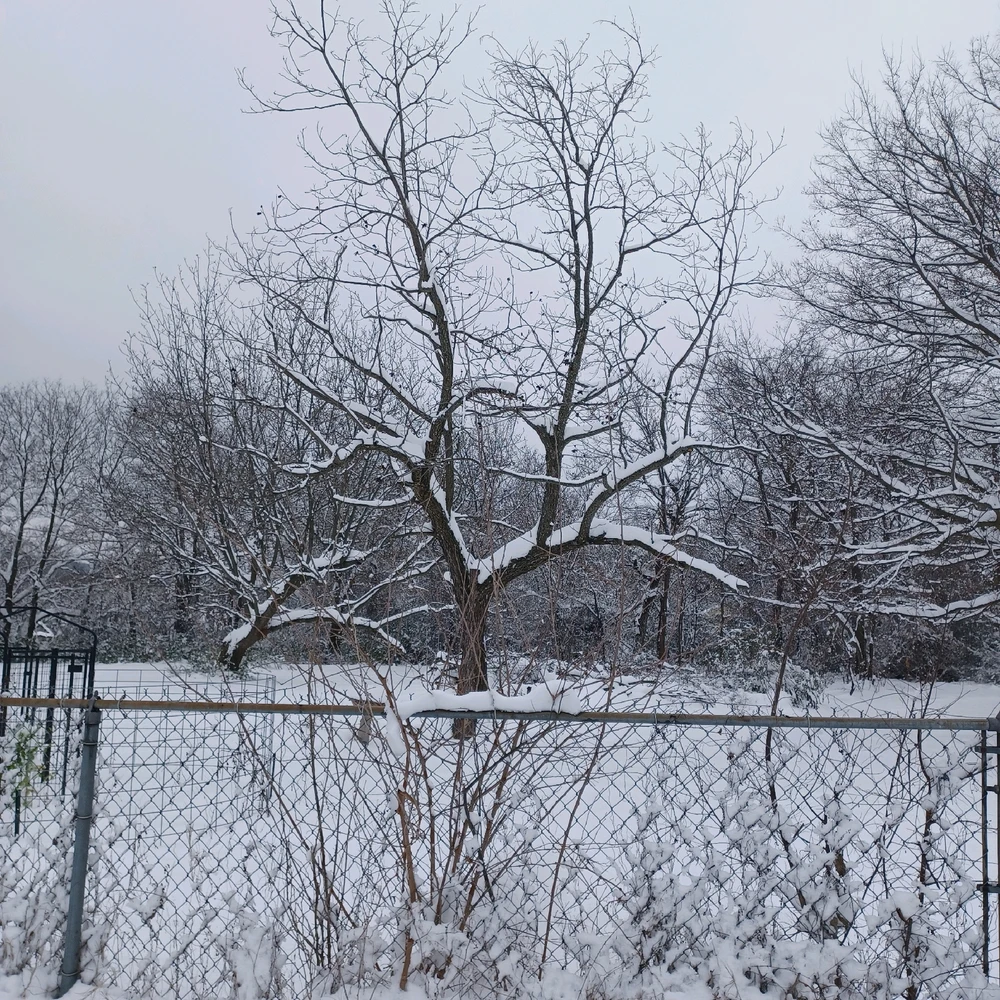 Image uploaded by Tammera aka TRawr