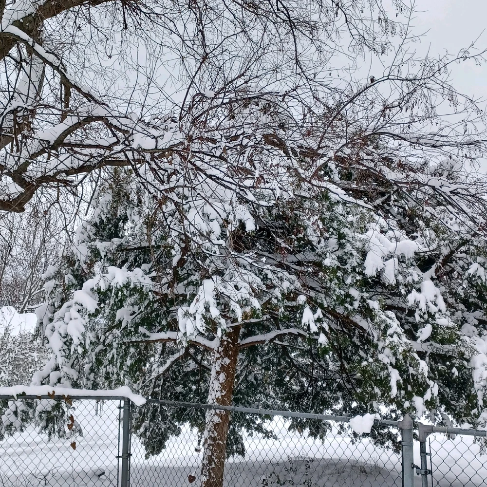 Image uploaded by Tammera aka TRawr