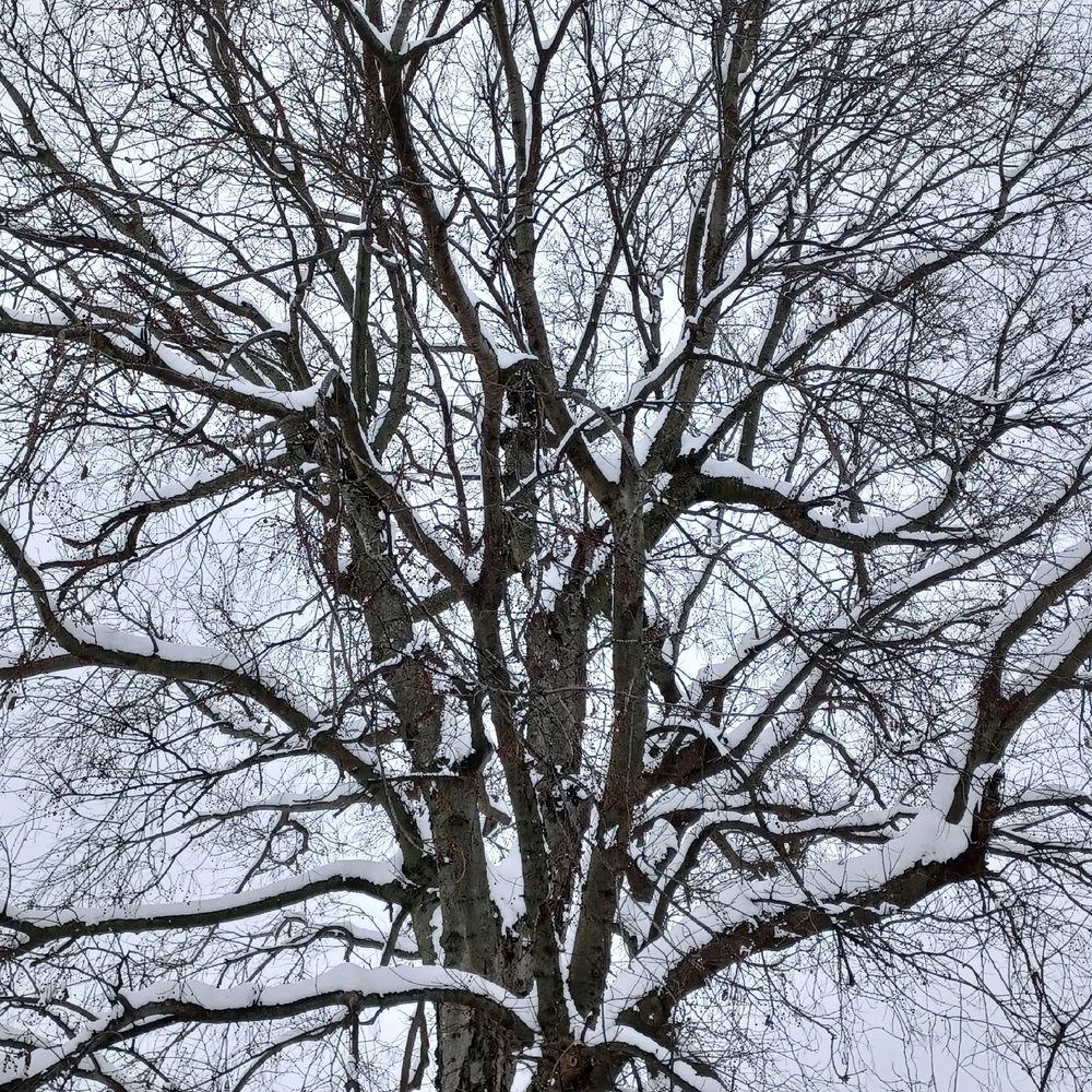 Image uploaded by Tammera aka TRawr