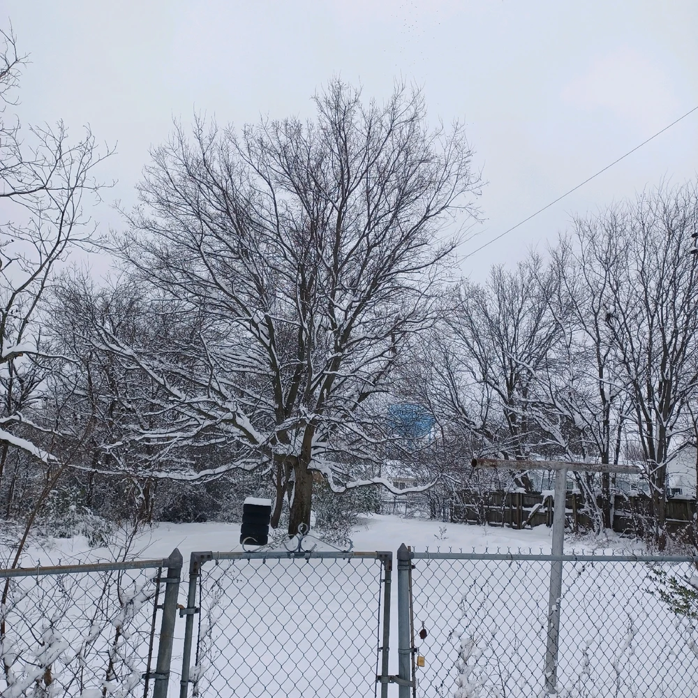 Image uploaded by Tammera aka TRawr