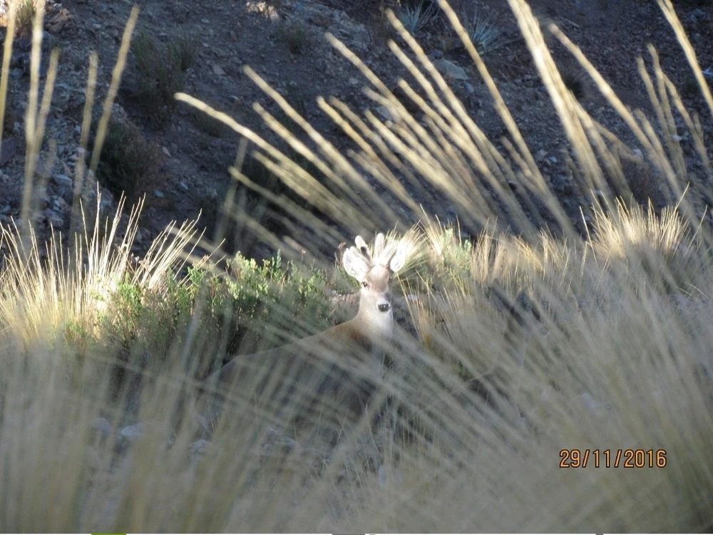 GIF uploaded by Bryan