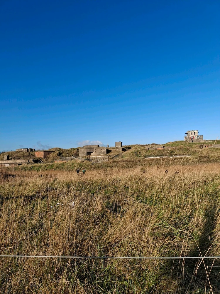 Afbeelding geüpload door Xenia