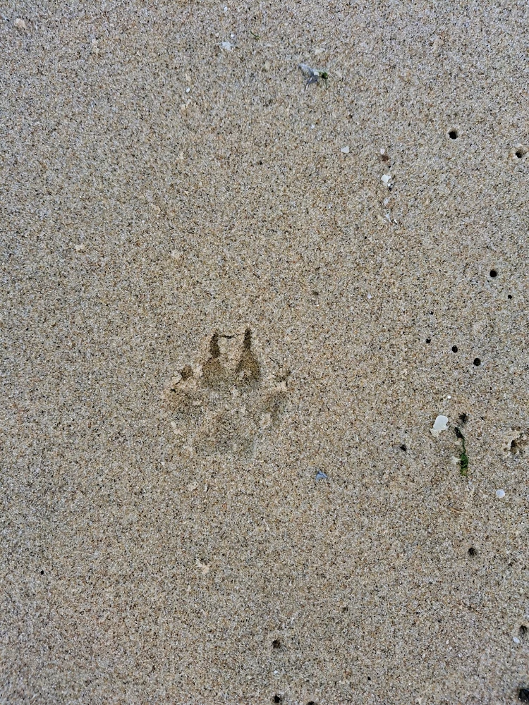 Afbeelding geüpload door Xenia