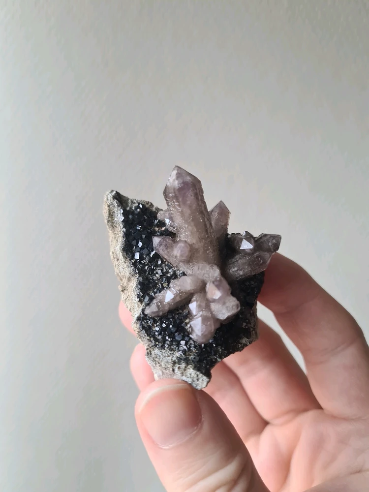 Gambar diunggah dening Dan Michael