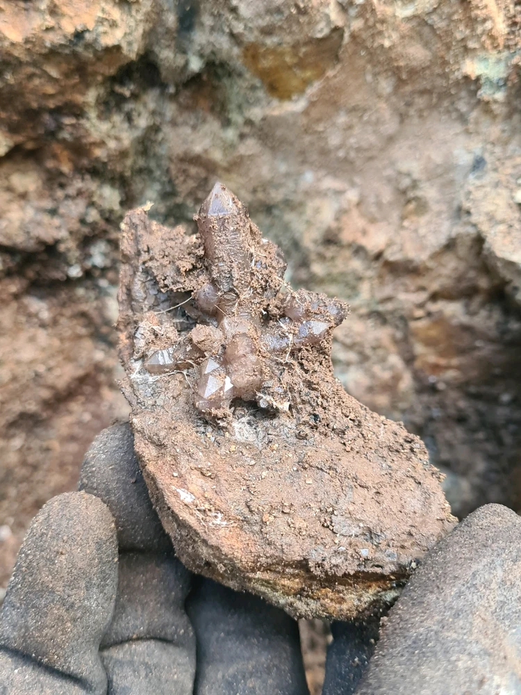 Gambar diunggah dening Dan Michael