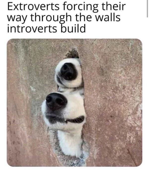 GIF hochgeladen von Hyze