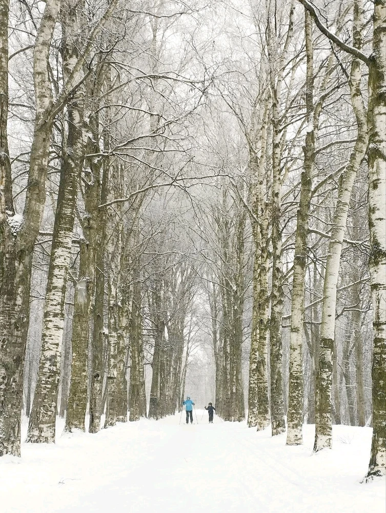 Фото загрузил Наталья