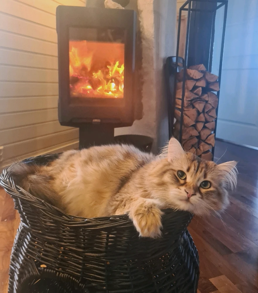 GIF uploaded by Dan Michael