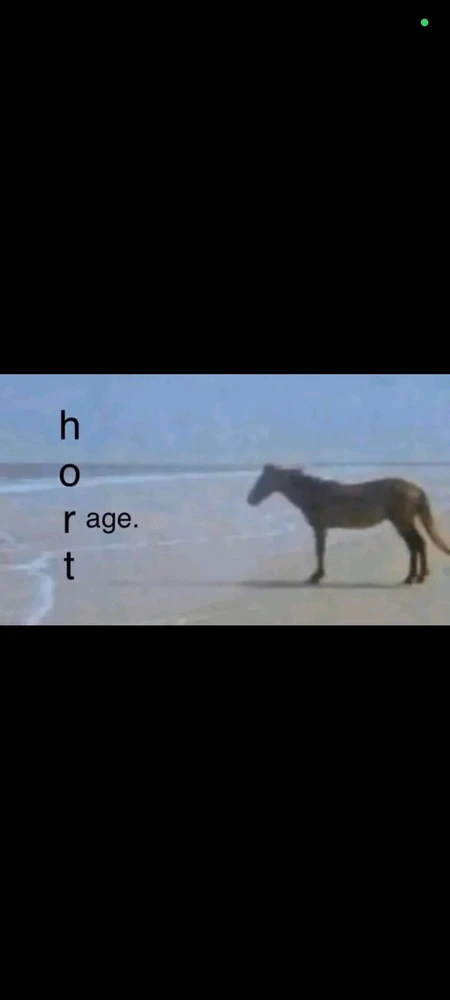 GIF nahrál Kryštof