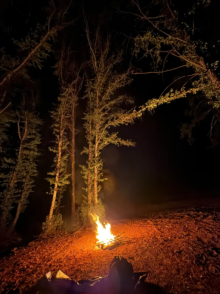 Derin tarafından yüklenen GIF