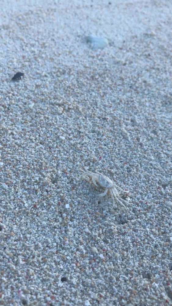 Image uploaded by Milktyy