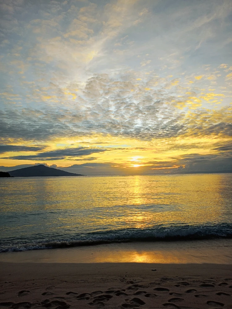 Image uploaded by Milktyy