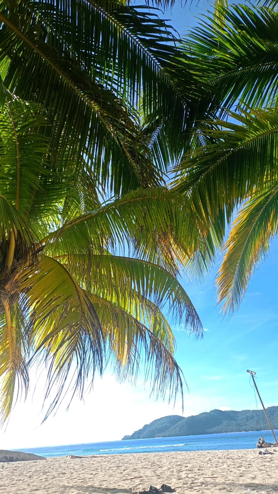 Image uploaded by Milktyy