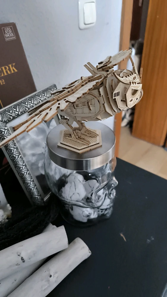 Bild hochgeladen von Luzi