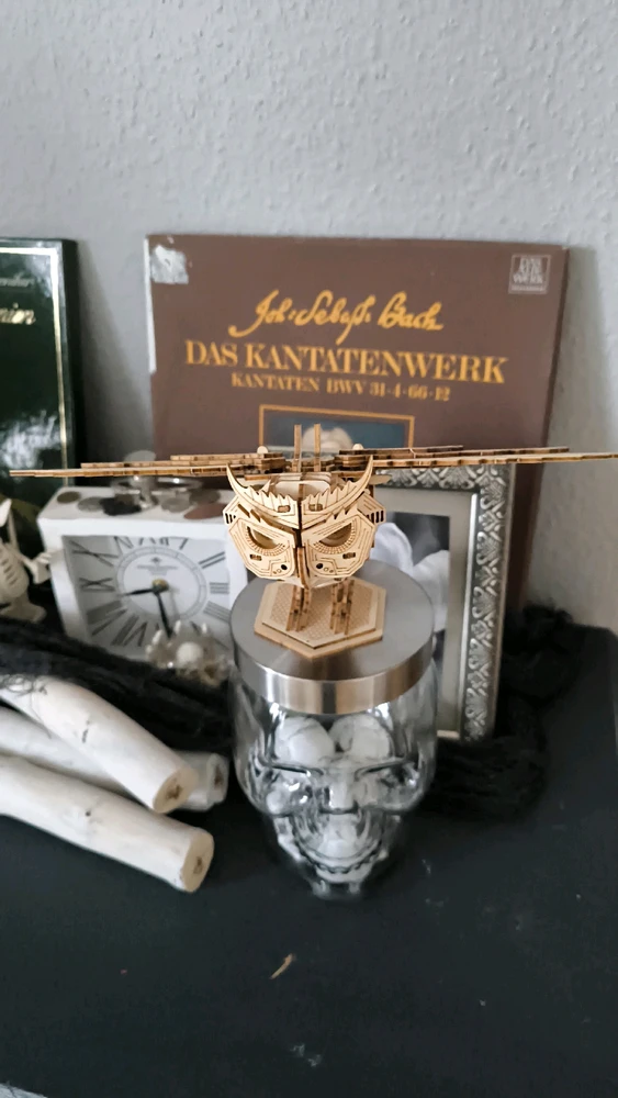 Bild hochgeladen von Luzi