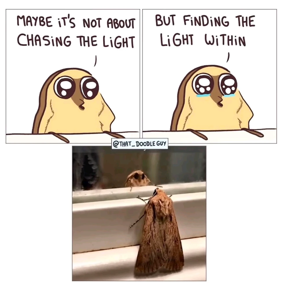 GIF hochgeladen von 𝕁𝕖𝕤𝕤𝕚𝕔𝕒