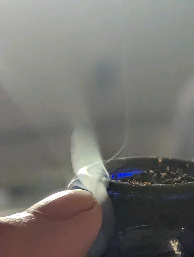 Anna 上傳的 GIF